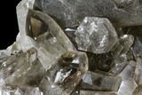Wide, Smoky Quartz Crystal Cluster - Brazil #104025-4
